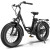 Hiboy EX6 Step-thru Fat Tire Electric Bike