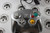 Nintendo GameCube Console Set | Platinum Silver (1)