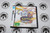 Nintendo DS | Pokemon White Version 2 | Boxed (1)