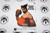 Nintendo 64 / N64 | Ready 2 Rumble Boxing | Manual