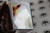 Funko Pop #629 Flareon ( Diamond Collection) (1) | Pokemon