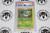 Pokemon TCG | Servine #1/12 - PSA 8 | Holo | Graded