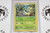 Pokemon TCG | Servine #1/12 - PSA 8 | Holo | Graded