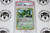 Pokemon TCG | Flygon #7/110 - PSA 8 | Holo | Graded