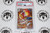 Pokemon TCG | Infernape #173/167- PSA 9 | Illustration Rare | Graded - 

This card is from the Twilight Masquerade set.