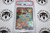 Pokemon TCG | Keldeo ex #167/086 - PSA 9 | Special Illustration Rare | Graded - 

This card is from the White Flare set.