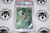 Pokemon TCG | Emolga #112/086 - PSA 9 | Illustration Rare | Graded - 

This card is from the Black Bolt set.