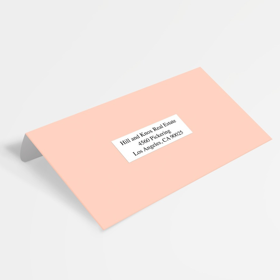 Avery 5351 Copier Address Labels