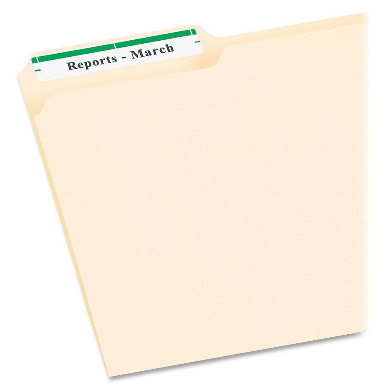 Avery 5866 TrueBlock File Folder Labels