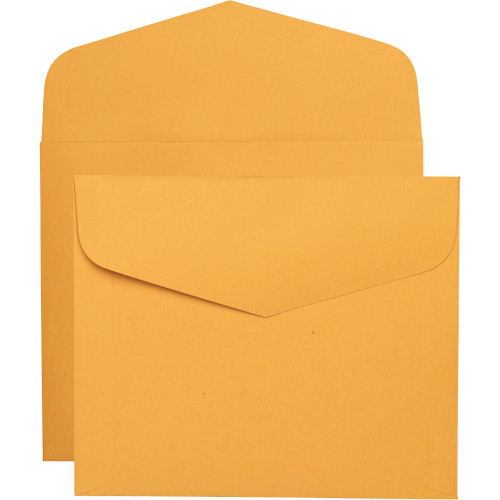 Quality Park 54300 Extra Heavyweight Document Envelopes