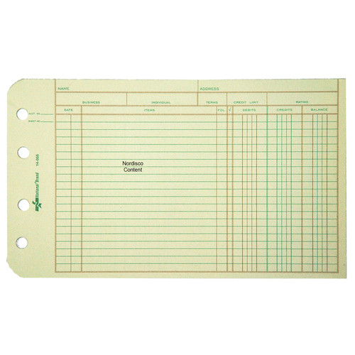 National Brand 14055 Ledger Sheets, 5 x 81/2", EyeEase Paper, 100