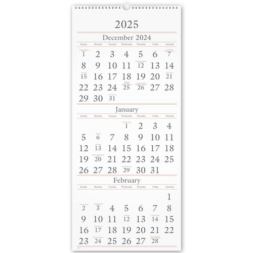 2025-at--a--glance-sw115-28-3-month-wall-calendar-12-x-27