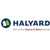 Halyard 55031 Synthetic Plus PF Vinyl Exam Gloves