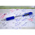 Zebra Pen 22220 Z-Grip Retractable Ballpoint Pens