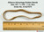 alliance-27075-advantage-large-rubber-bands-size-107-dimensions