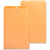 Business Source 36666 Kraft Clasp Envelopes, 10 x 15", 28 Lb., Box of 100