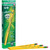 Ticonderoga 13304 Laddie Pencil with Eraser