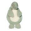 Douglas Baby Plush Kai Green Turtle Infant SShlumpies