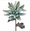 Regency Realistic Blue Green Sunburst Succulent 30" L Stem Spray