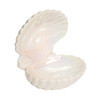 Open Oyster Shell Large Trinket Dish