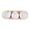 Mud Pie Ceramic Sea Shell Dip Dishes Tray Set  