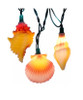 Kurt Adler Seashells and Conch Shells String Lights