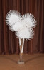 The Canvas Nursery 5 Foot Buri Palm Tree  