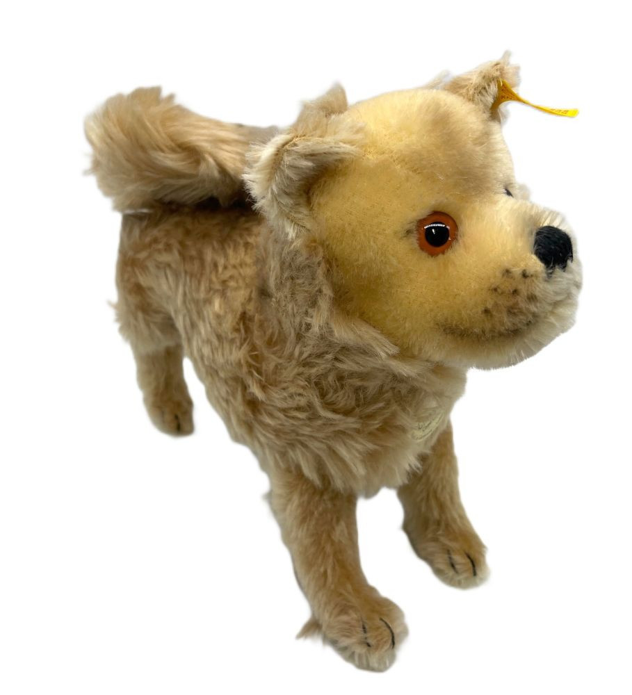 Steiff チャーリー・ブラウン モヘア白タグ‼️証明書付き Steiff Chow Chow Stuffed Mohair Dog - Beach House Gift Boutique
