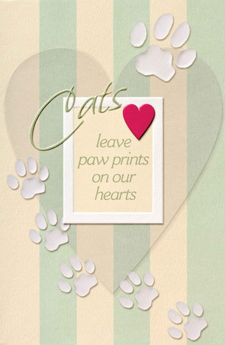 Cats Paw Prints Sympathy Card