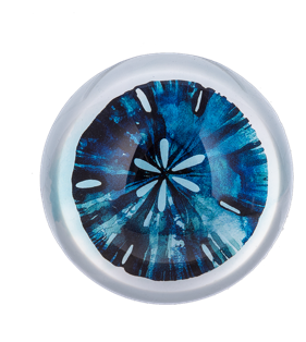 Ganz Blue Watercolor Under The Sea Paper Weight