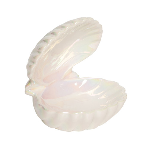 Open Oyster Shell Small Trinket Dish