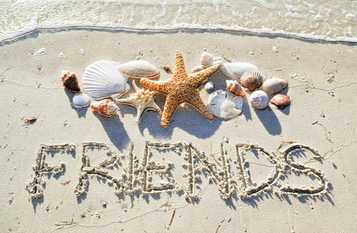 Beach Friends Greeting Card