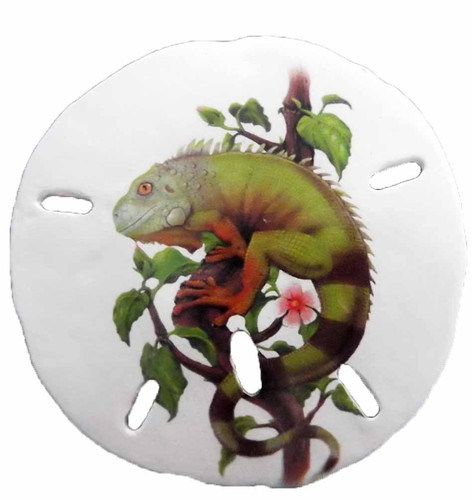 Sand Dollar Iguana Magnet 