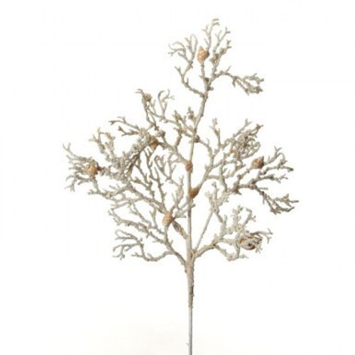 Regency Natural Sea Coral With Shells Long Spray Regency Natural Sea Coral With Shells Long Spray