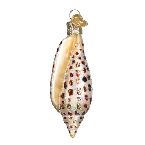 Old World Christmas Junonia Sea Shell Glass Tree Ornament