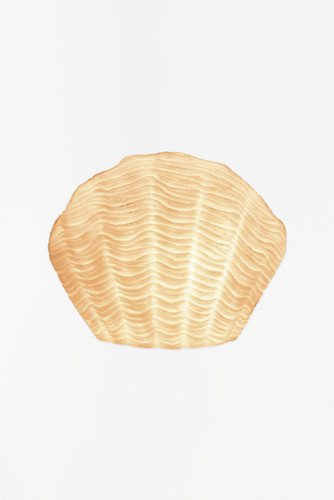 Batela White Scallop Seashell Shaped Tabletop Light