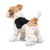 Steiff Foxy Fox Terrier Stuffed Dog