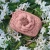 Brighton Jardin Rosie 3D Flower Petal Laser Cut Pink Leather Camera Bag Crossbody Purse