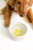Lilli Pulitzer Ceramic Pet Bowl