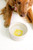 Lilli Pulitzer Ceramic Pet Bowl