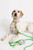 Lilly Pulitzer Rope Cord Pet Leash