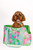 Lilly Pulitzer Pet Carrier
