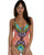 Sunshine 79 Flora Block V Plunge One Piece Swimsuit
