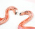 Tropical Pink Flamingos Quilled Blank Greeting Card