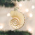 Old World Christmas Nautilus Sea Shell Glass Tree Ornament