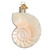 Old World Christmas Nautilus Sea Shell Glass Tree Ornament