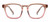 Peepers Latte Eyeglass Readers