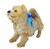 Steiff Chow Chow Stuffed Mohair Dog
