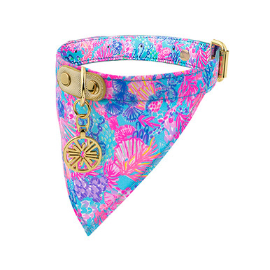 CYPBRANDS Hundehalsband Chic & Love Zebra - Größe S, Weich, Mit Clipverschluss