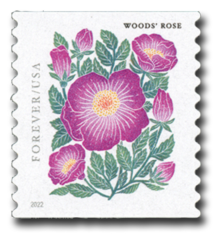 5674 - 2022 First-Class Forever Stamp - Mountain Flora (coil